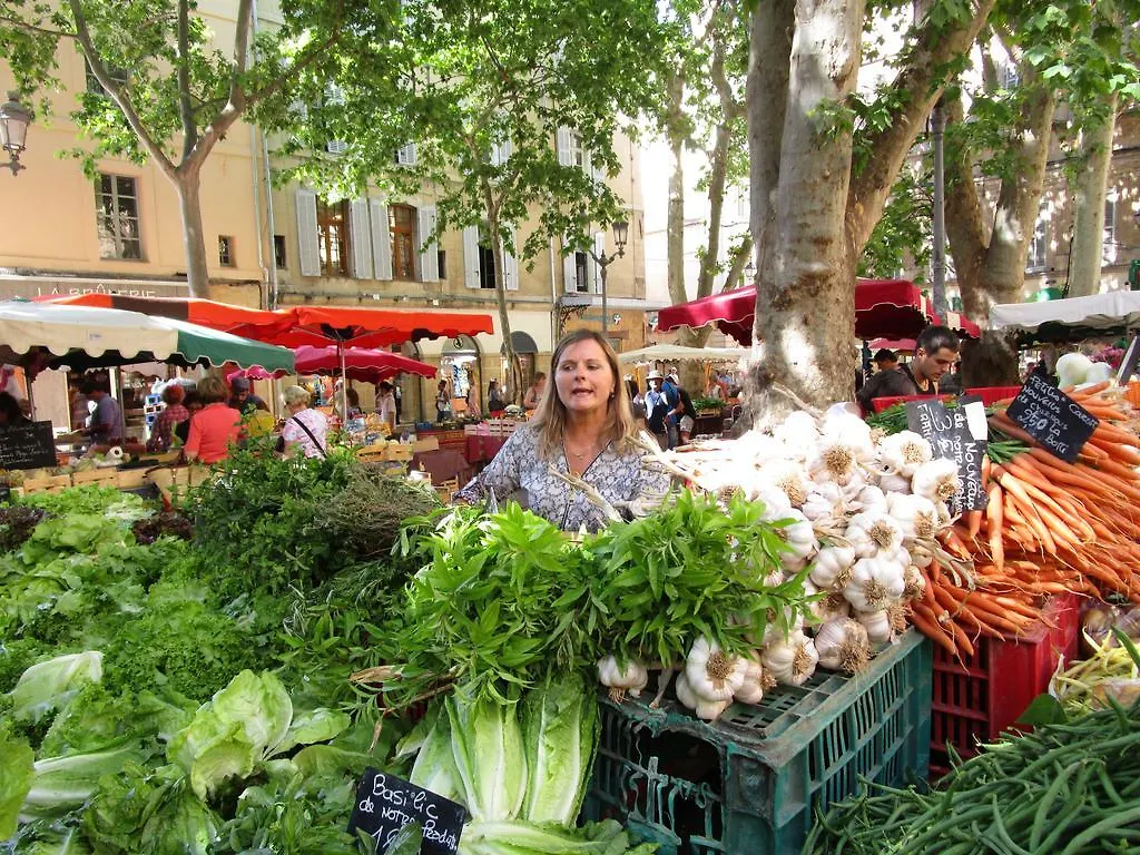 Bed & Breakfast Villa Rose En Provence Aix-en-Provence Frankrijk